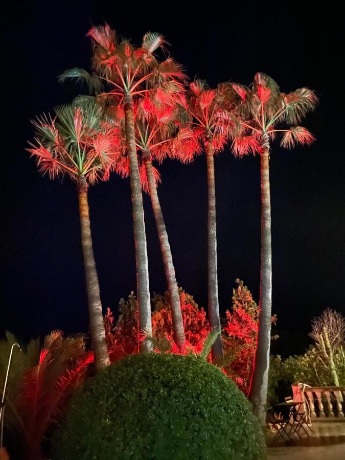 Agroturismo S Hort De Can Carrio Ag226 セス・サリネス エクステリア 写真