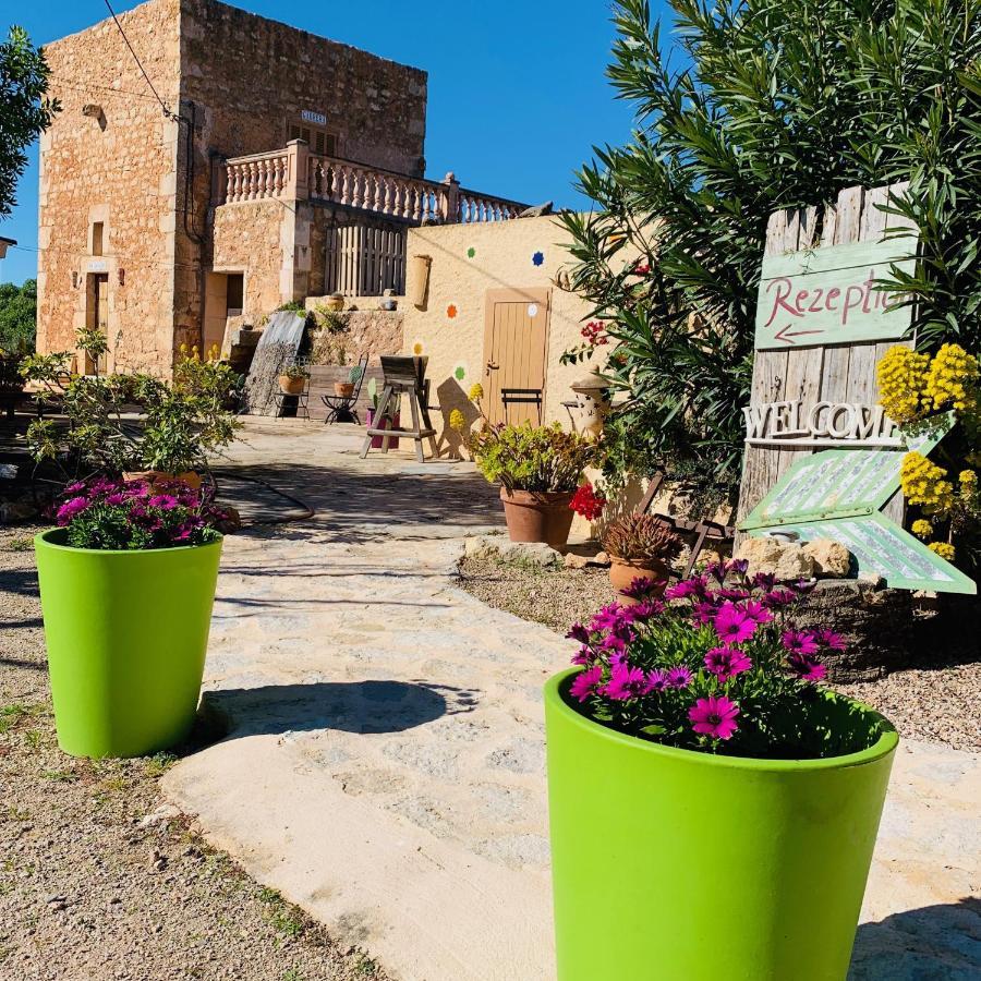 Agroturismo S Hort De Can Carrio Ag226 セス・サリネス エクステリア 写真