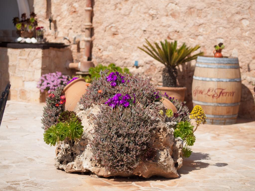 Agroturismo S Hort De Can Carrio Ag226 セス・サリネス エクステリア 写真