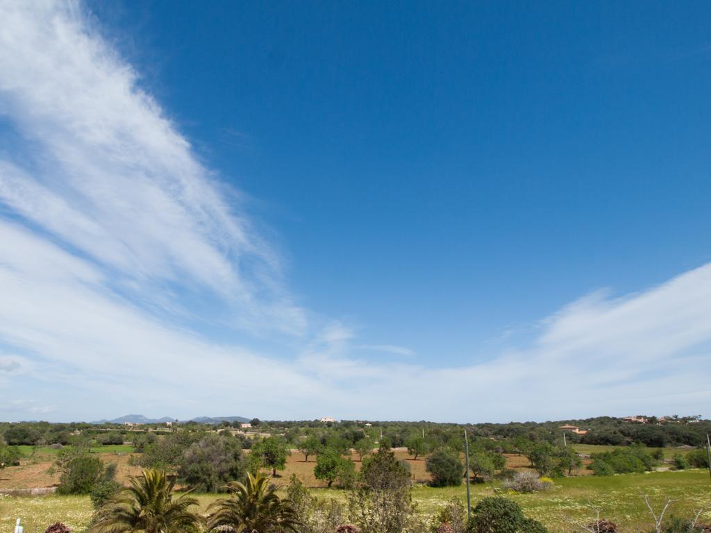 Agroturismo S Hort De Can Carrio Ag226 セス・サリネス エクステリア 写真